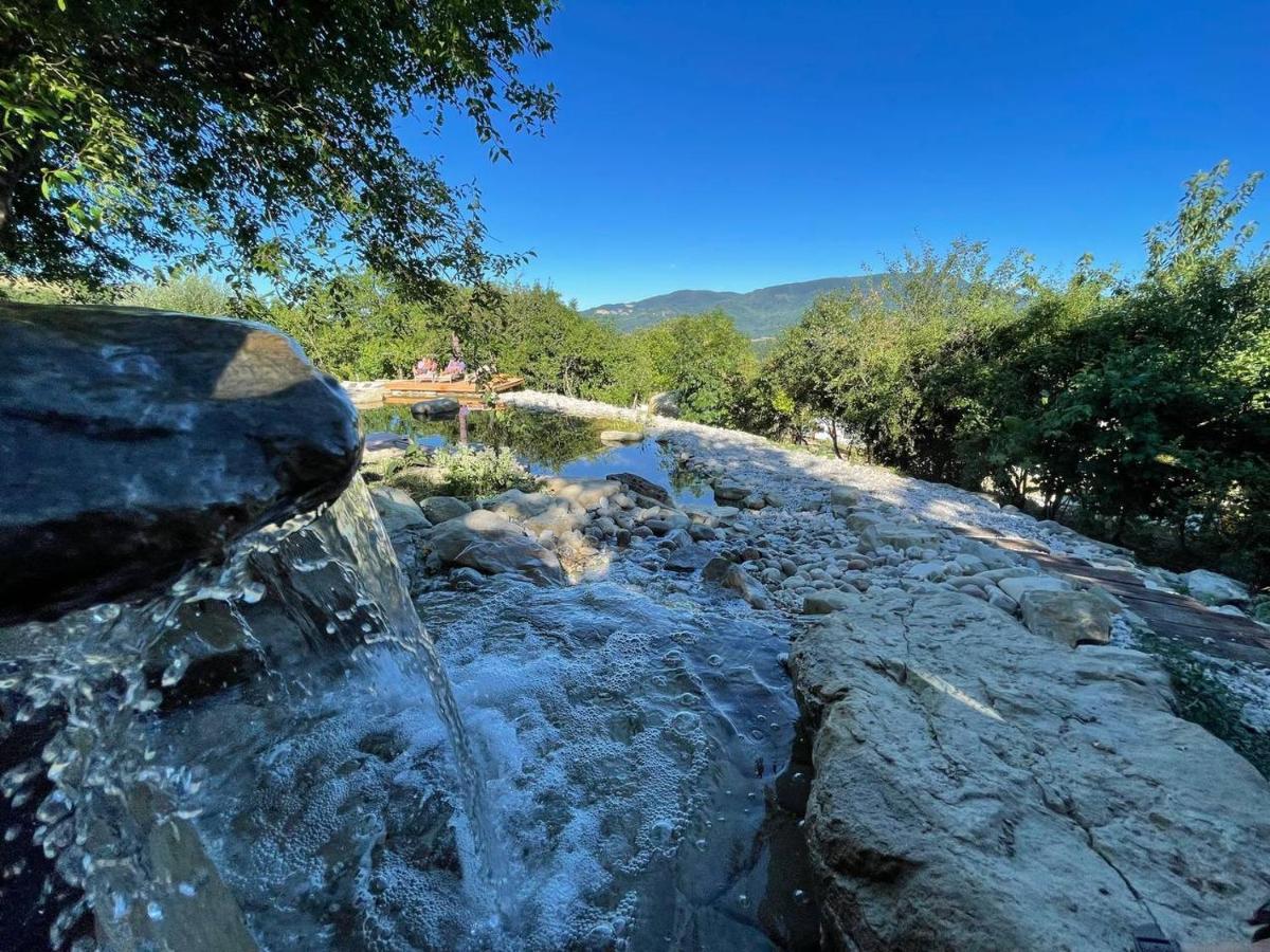 Agriturismo Biologico Autosufficienza 巴尼奥迪罗马涅 外观 照片