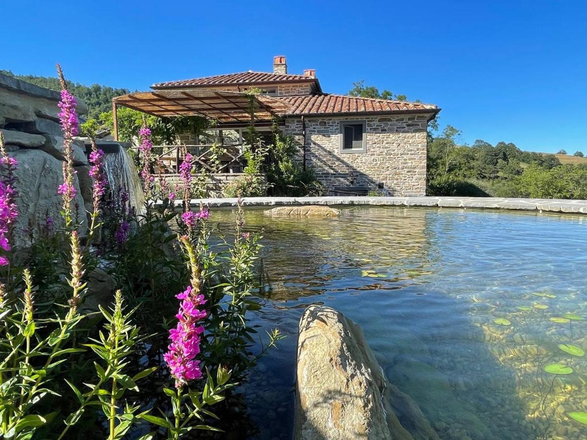 Agriturismo Biologico Autosufficienza 巴尼奥迪罗马涅 外观 照片