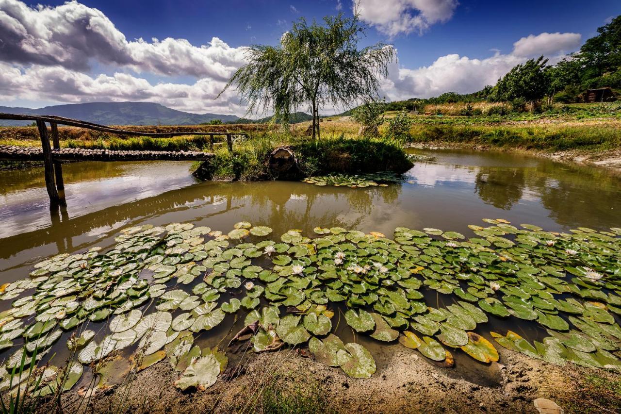 Agriturismo Biologico Autosufficienza 巴尼奥迪罗马涅 外观 照片