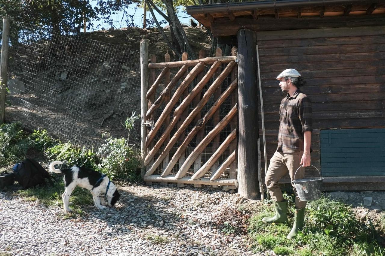 Agriturismo Biologico Autosufficienza 巴尼奥迪罗马涅 外观 照片