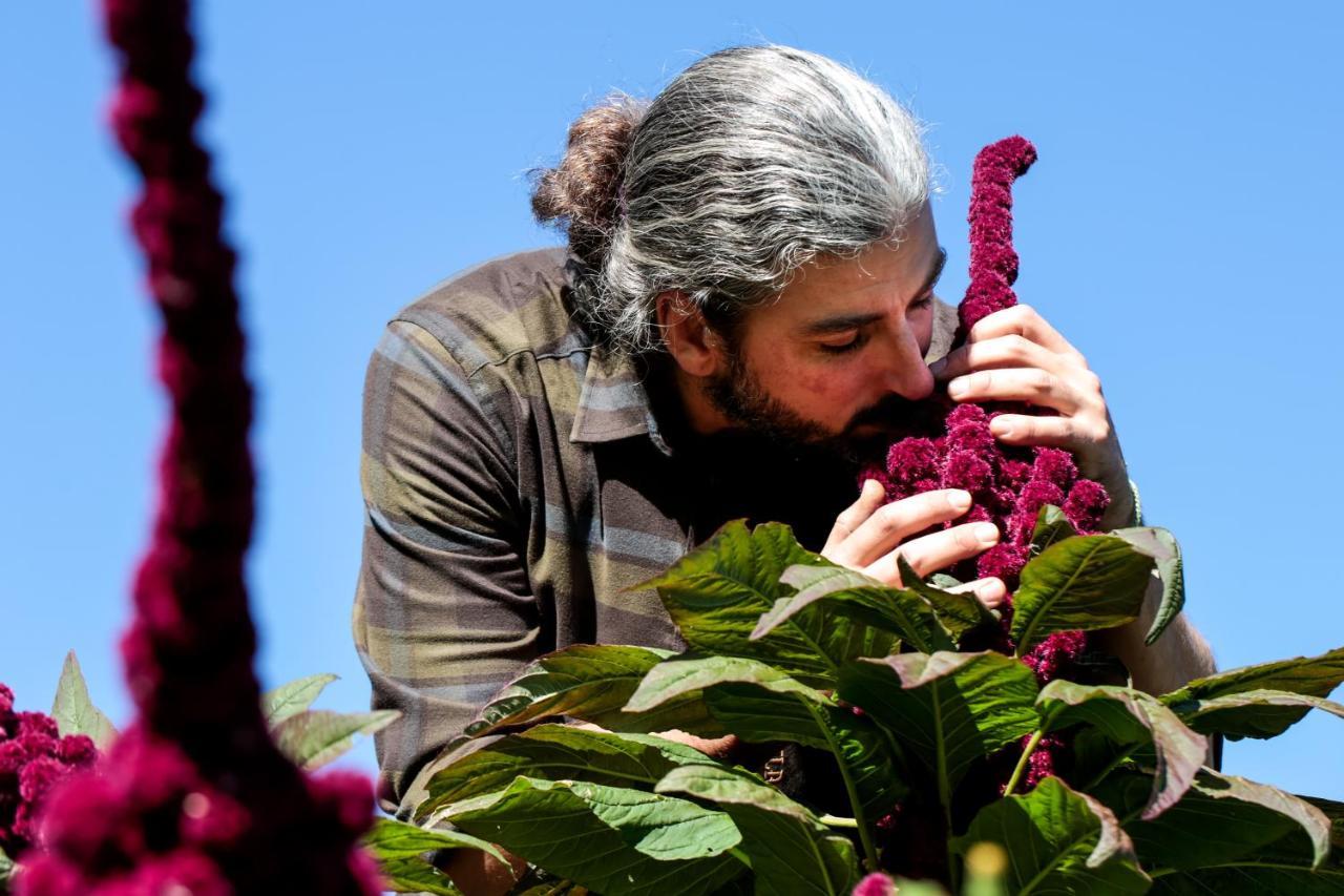 Agriturismo Biologico Autosufficienza 巴尼奥迪罗马涅 外观 照片