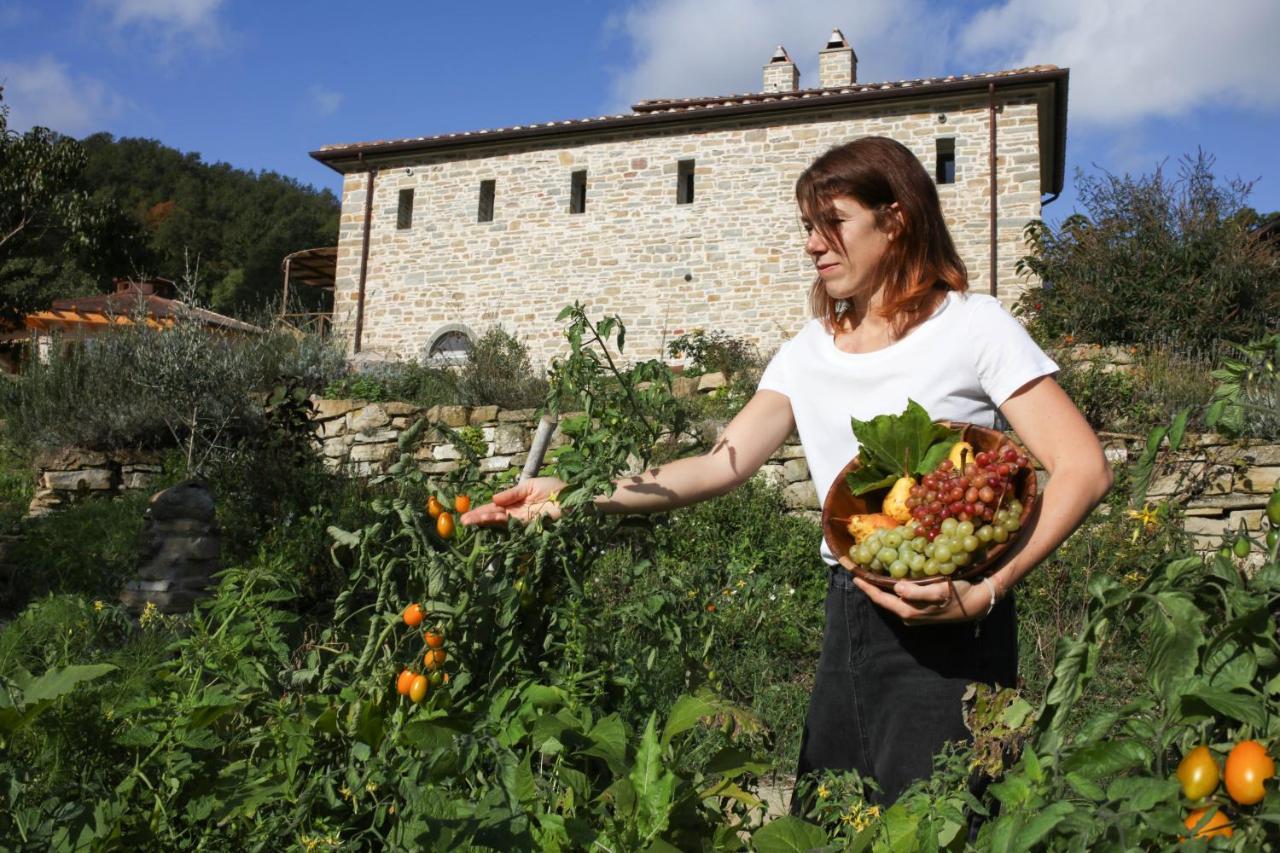 Agriturismo Biologico Autosufficienza 巴尼奥迪罗马涅 外观 照片