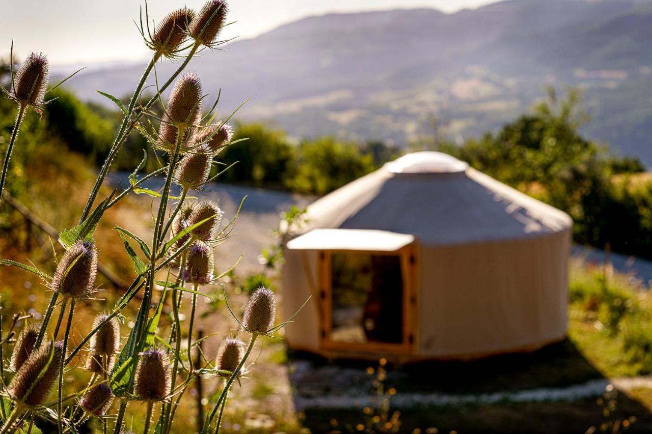 Agriturismo Biologico Autosufficienza 巴尼奥迪罗马涅 外观 照片